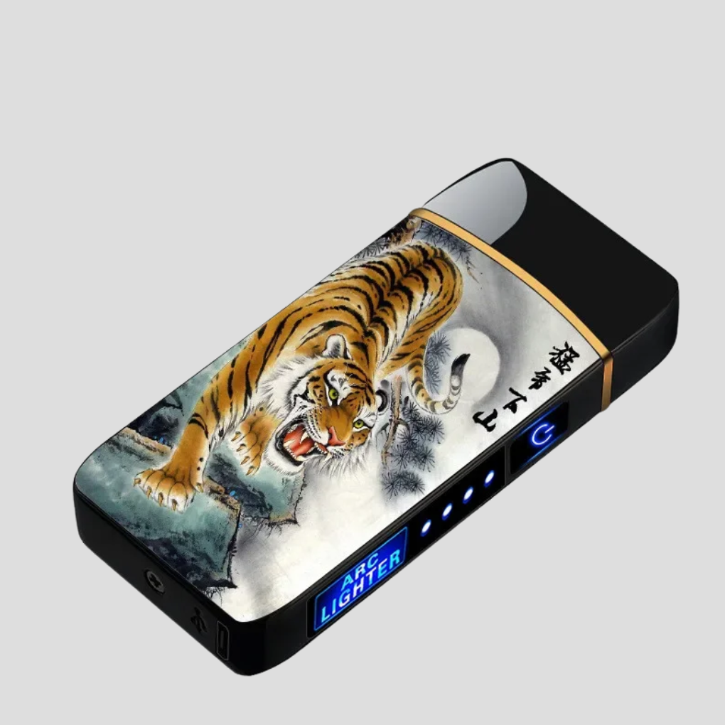 Elektronische windbestendige aansteker