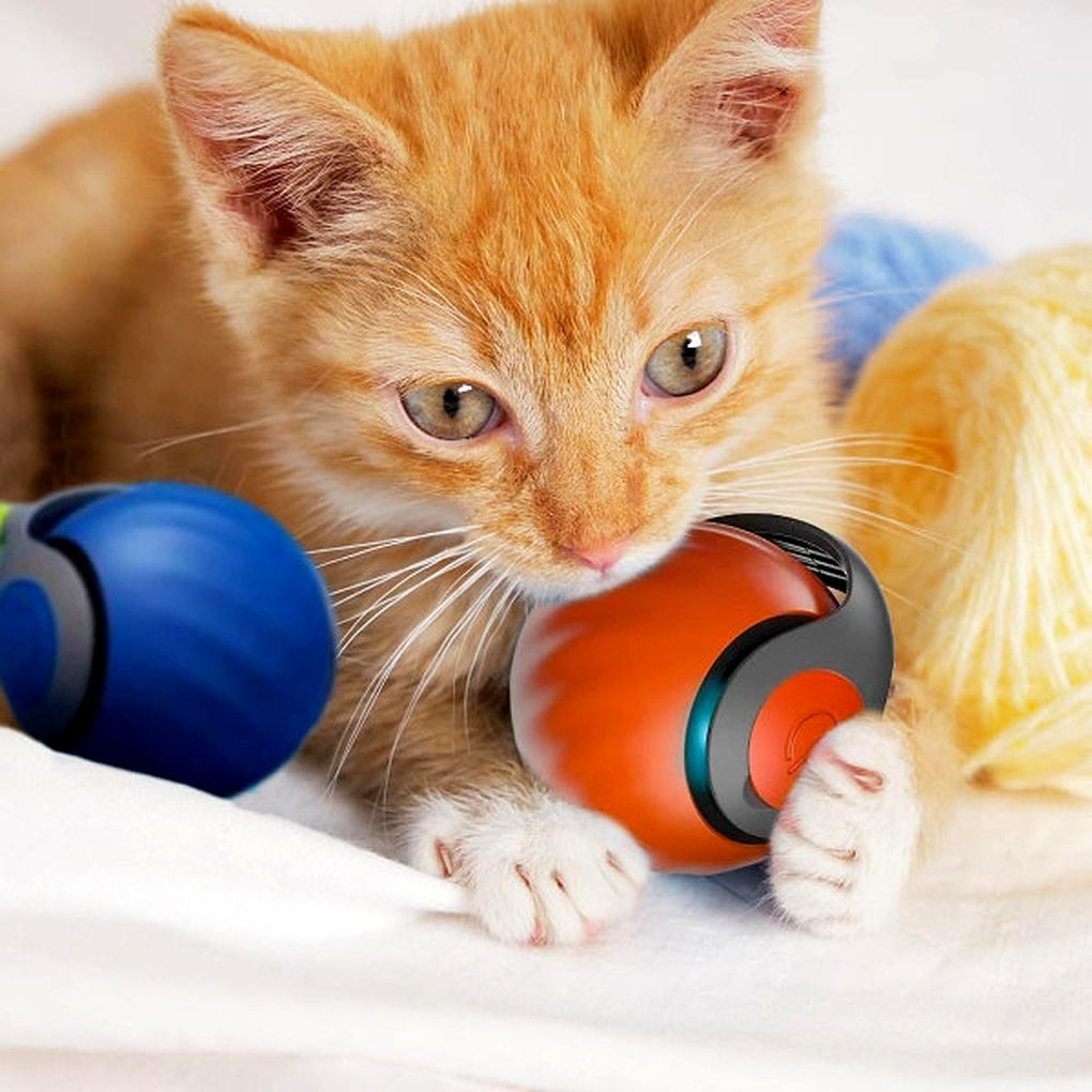 Interactief kattenbal-speelgoed - zelfbewegende rollende speelbol