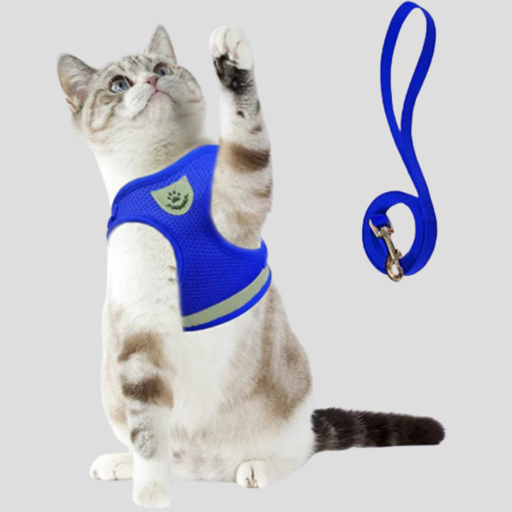 Kattenharnas met riem